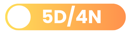 5N6D (1)