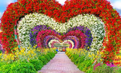 be4dcb43a3fb96386a8337be12e05c35-dubai miracle garden